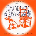 Guitar Music Flamenco Street Projects