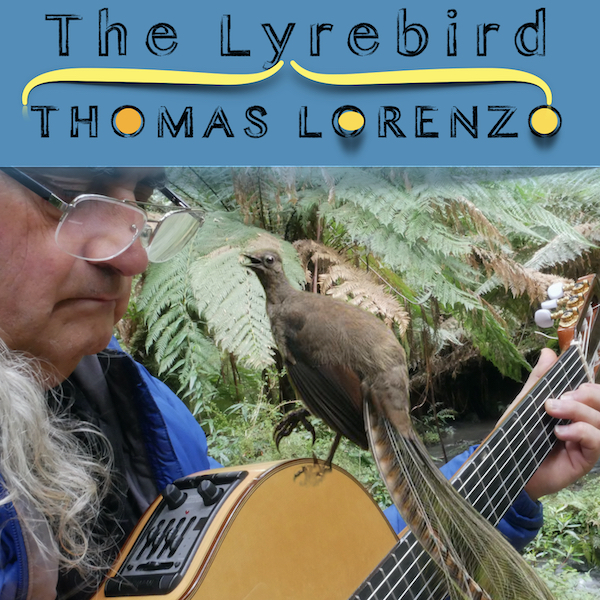 The song of the LyreBird by Thomas Lorenzo GunaiKurnai creation story of Waratah Bay Tarra Bulga National Park Gippsland